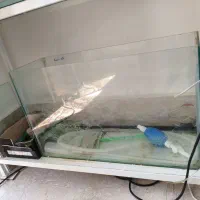 2عدد آکواریوم