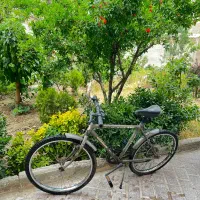 دوچرخه|دوچرخه، اسکیت، اسکوتر|کرج, باغستان|دیوار