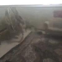 تلوزیون مارشال