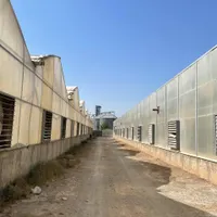 ۵۰۰۰ متر زمین ۴۰۰۰ متر گلخانه|اجارهٔ دفتر صنعتی، کشاورزی، تجاری|تهران, آبشار|دیوار