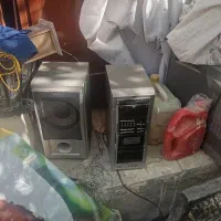 ظبط