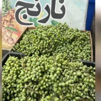 سبزی کده نارنج