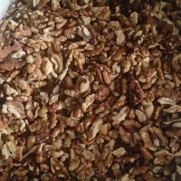 مغز گردو محلی - روغنی ( پرچرب ) - مناطق کوهستانی