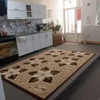 تامین اجتماعی طبقه بالا ماشین رو