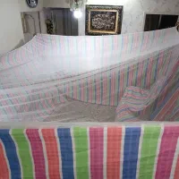 پشه بند درجه یک، بزرگ