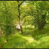زمینی به مساحت ۵۰۰ متر مربع در روستای مشند