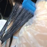 پاکسازی قطعی شپش بدون عوارض وصددرصدگیاهی