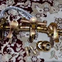 تعدادی شیر به فروش میرسد