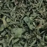 لیزک (بن سرخ)