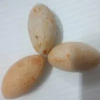مهره ها وسنگ زینتی