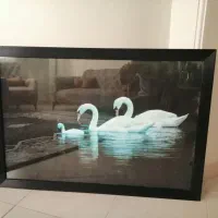 تابلو شب خواب