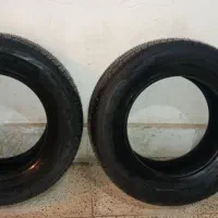 لاستیک نو