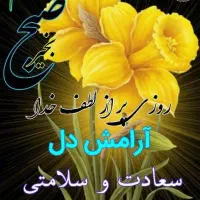 فروش خط تلفن ثابت رند