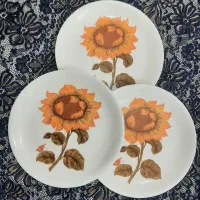ملامین * چینی دکوری*قدیمی دیوارکوب برای ناقصی یا *