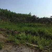 تهاتر و فروش زمین در سلمانشهر