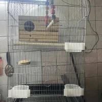 قفس پرنده سایز بزرگ با لونه