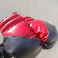 دستکش بوکس