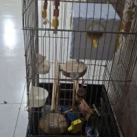 قفس بزرگ به همراه کوله حمل پرنده