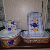 گل پنبه ی