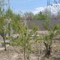 باغ ۴۰۰ متری در دیزج اسکو