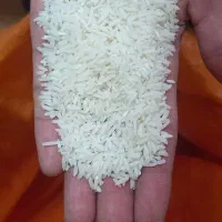برنج هاشمی