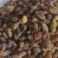 سایخشک درجه یک درشت ۴۸۰ آبغوره هم دارم