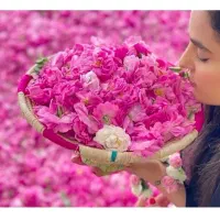 آخرین تور گلابگیری کاشان آبشار نیاسر