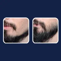 تازه وارد شد