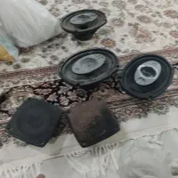 ظبط باندودزدگیرتصوری