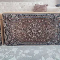 پشتی بدون پارگی و پوسیدگی(خوشرنگ)قیمت مناسب