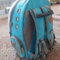 گیف حمل حیوان