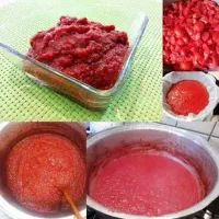 رب خانگی