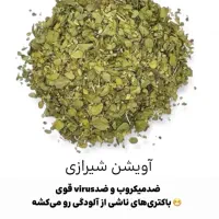 اویشن