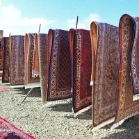قالی شویی نظام آبادی تحویل یک روزه نظام شهر