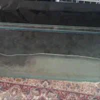 اکواریوم
