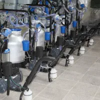 فروش انواع دستگاه شیردوش گاو، گوسفند و بز