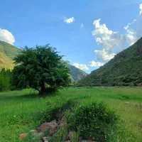 یک عدد خط دائمی فروش فوری