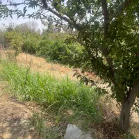 280-متر-باغچه-نقلی-درختان-مثمر-در-باباسلمان-قدس