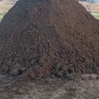 فروش کود گاو