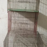 قفس پرنده