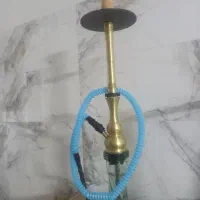 قلیون معاوضه با کبوتر