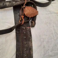 هیکلی علمات کشی چرم گاو میش