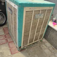 کولرابی