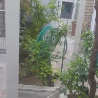 اینه قدی