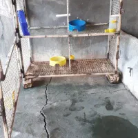 قفس پرنده زینتی  چهار خونه با مرغ عوض میکنم