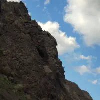 کاه