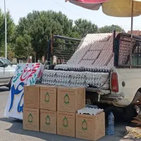تخم مرغ قیمت روز
