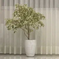 بنجامین ابلق