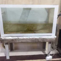 آکواریوم