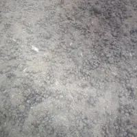 کود‌گوسفندی‌درجه‌یک